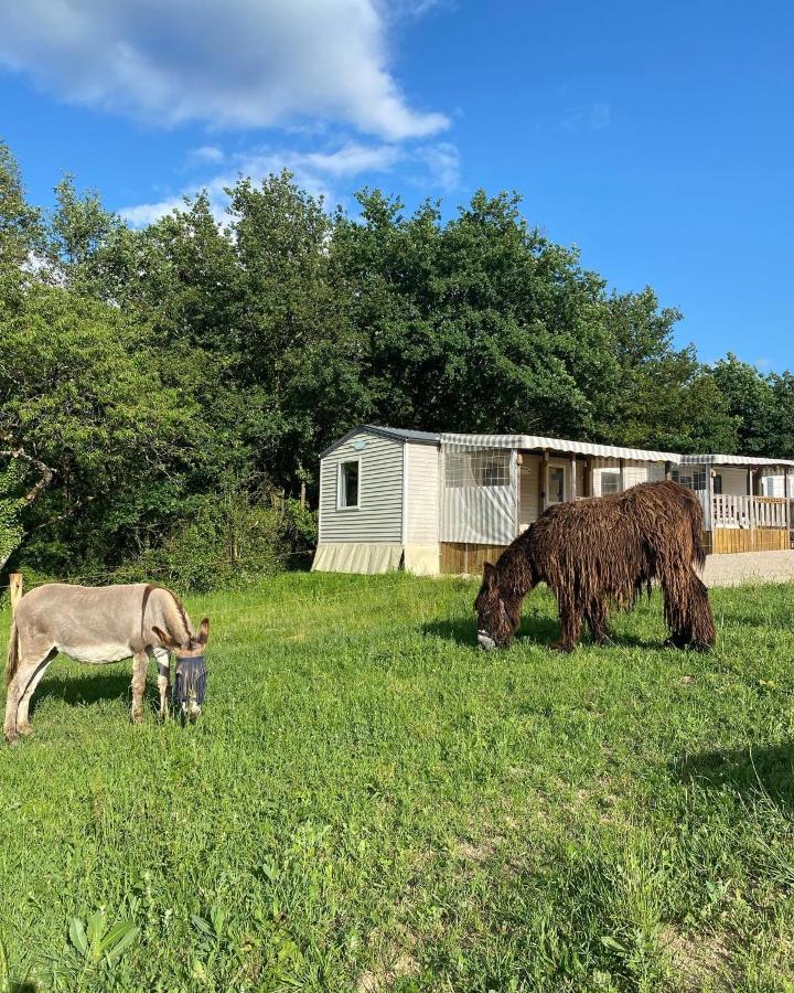 Camping De La Ferme Aux Anesses, Mobil Home Sofia2 ブレシュイール エクステリア 写真