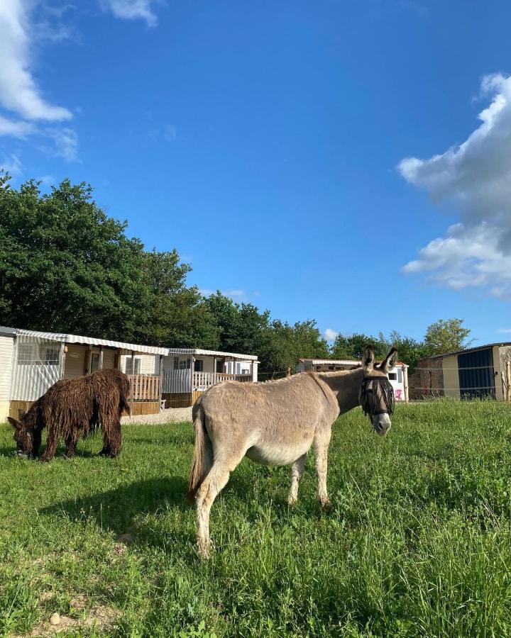 Camping De La Ferme Aux Anesses, Mobil Home Sofia2 ブレシュイール エクステリア 写真